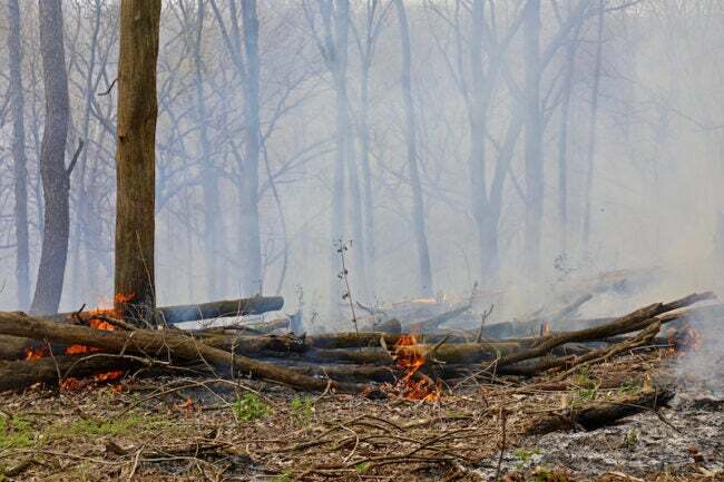 miškų gaisrai su medžiais ir dideliais dūmais