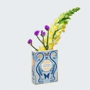 The Book Lover Gifts Option: Bibliophile Ceramic Vase: Collected Curiosities