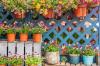 14 idées de jardin latéral qui vous aideront à tirer le meilleur parti de toute votre propriété