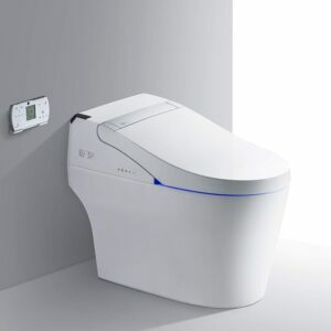 A melhor opção de banheiros inteligentes: vaso sanitário com bidê inteligente com descarga única Woodbridge B0960S
