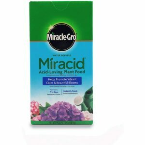 La mejor opción de fertilizante para gardenias: Scotts Miracle-Gro Miracid Plant Food