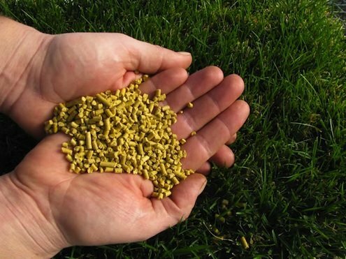 Hnojivá tráva - jedlo z kukuričného lepku