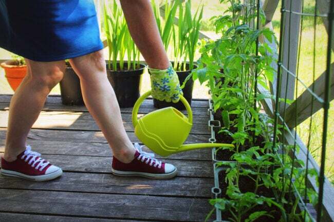 10 coisas que todo novo jardineiro precisa saber: mulher regando plantas no convés