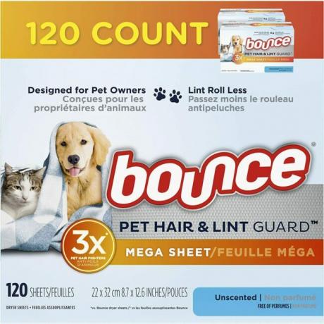 Nasze ulubione produkty dla właścicieli psów: Bounce Pet Hair & Lint Guard