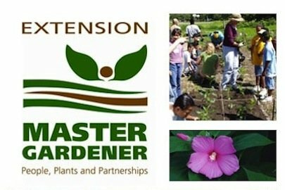 Escritório de extensão local - Programa Mestre de Jardineiros