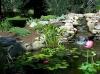 Bauen Sie einen Teich in Ihrem Garten