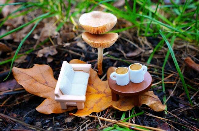 草の中の茶色いキノコの下に、ミニチュアの白いソファとコーヒーテーブルとマグカップが置かれ、乾いた葉っぱの上に座っています。