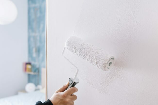 Person, der ruller hvid maling eller primer på en hvid væg