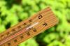 Lo que significa un verano más caluroso que el promedio para su jardín este año
