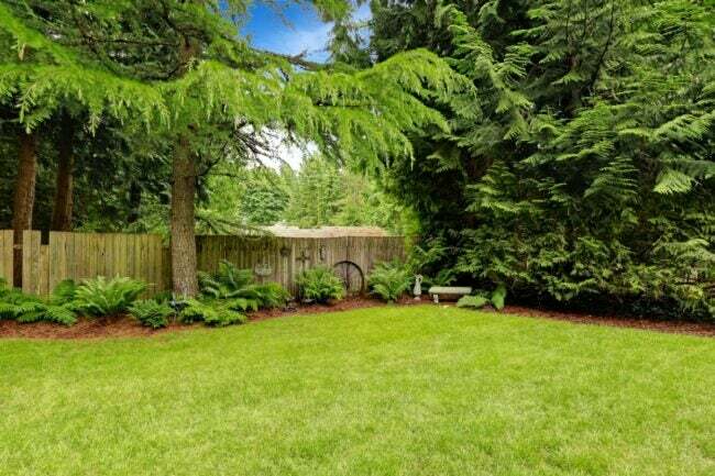 חצר אחורית ירוקה עם גדר עץ