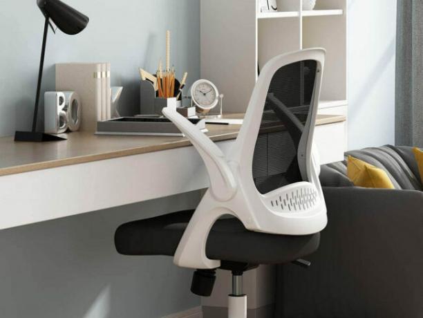 Najboljši pisarniški stoli za možnosti hrbtenice