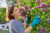 Cómo podar lilas como un maestro jardinero