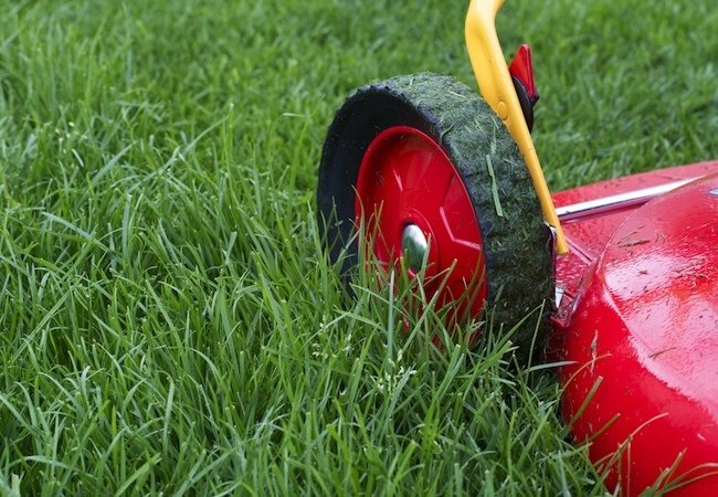 כיצד להפעיל מכסחת דשא