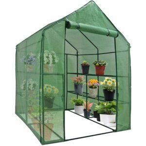 La migliore opzione di serra compatta: Nova Mini Walk-In Greenhouse