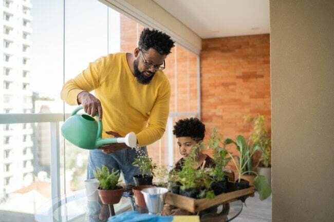 12 Afro-Américains qui ont changé notre façon de jardiner