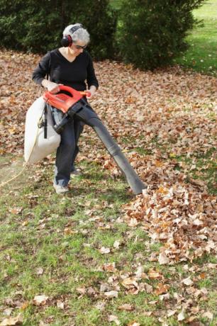 Найкращий вакуум для листя для прибирання невеликих садів та садів