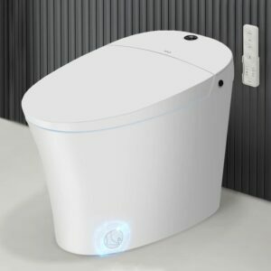 Лучший вариант умных туалетов: цельный умный унитаз-биде с двойным смывом Eplo E16