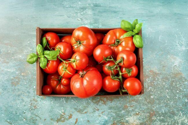 Sådan opbevares tomater