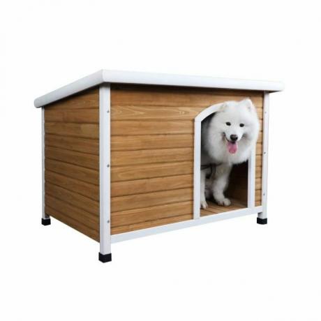 Melhores opções de casas de cachorro: casa de cachorro Petsfit 