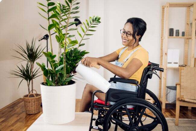 iStock-1338010280 moeilijkste kamerplanten om in leven te houden Afro-Amerikaanse vrouw in een rolstoel die voor haar kamerplanten zorgt