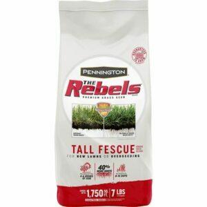 A melhor opção de grama para solo arenoso: Pennington The Rebels Tall Fescue Grass Seed Blend