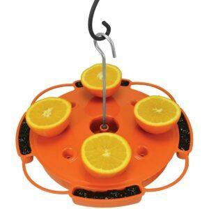 La mejor opción de alimentador de oropéndolas: Songbird Essentials Ultimate Oriole Feeder