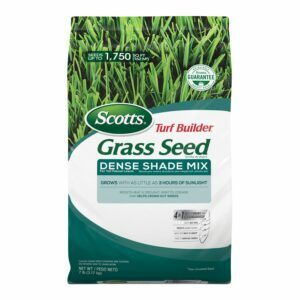 เมล็ดพันธุ์หญ้าที่ดีที่สุดสำหรับตัวเลือก Shade: Scotts Turf Builder Grass Seed Dense Shade Mix