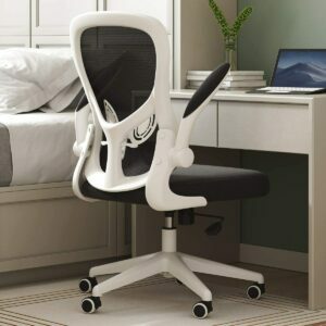 Geriausia ergonomiška kėdė Hbada