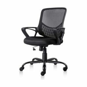 최고의 사무실 의자 옵션: Smugdesk 인체공학적 사무실 의자