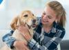 O melhor tratamento contra pulgas para cães e gatos