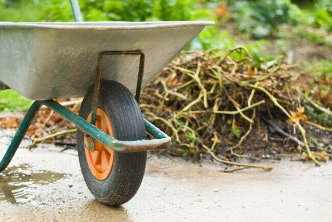 kako pravilno obdelovati vrt - očistiti smeti z vrtne parcele