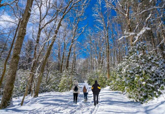 Šeima vaikšto apsnigtame parke. Žmonės žiemos rytą žygiuoja miške. Moses Cone memorialinis parkas, Blowing Rock, visai šalia Blue Ridge Parkway, Šiaurės Karolina, JAV.