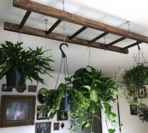 escada montada no teto com vasos de plantas pendurados nela