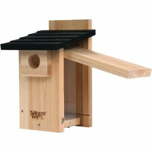 Najboljša možnost ptičjih hišic: Nature's Way Bird Products Bluebird Box House