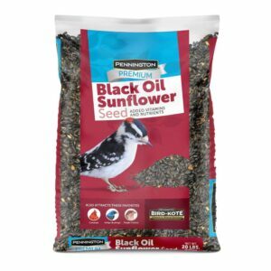 Geriausias paukščių sėklų pasirinkimas: Pennington 20 svarų aukščiausios kokybės juodųjų aliejinių saulėgrąžų sėklos