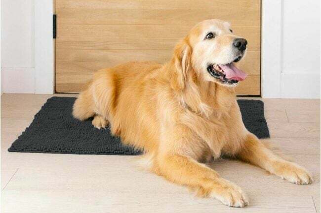 Найкращий варіант килимків для собак