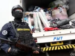 Upaya Smuggling Ganja Berat Diusut oleh Petugas Bea Cukai Bali
